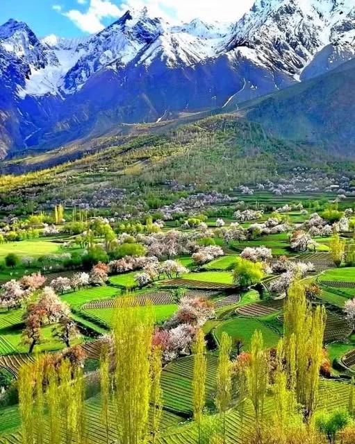 Chunda Valley near Cascade Resorts, Skardu, Ghanche, Gilgit Baltistan